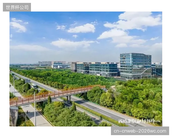 资本驱动的盲目扩张将终结，具备核心课程研发能力和精细化运营能力的机构将胜出